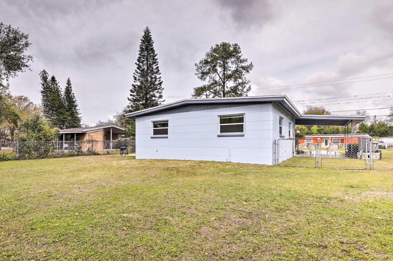 Tampa Vacation Rental Near Busch Gardens! Dış mekan fotoğraf